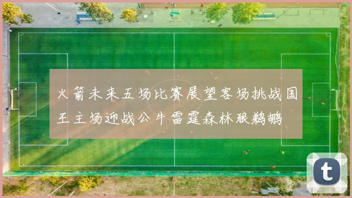 火箭未来五场比赛展望客场挑战国王主场迎战公牛雷霆森林狼鹈鹕